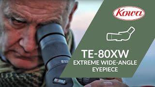 Kowa TE-80XW 80 Degree Extreme Wide Angle Eyepiece
