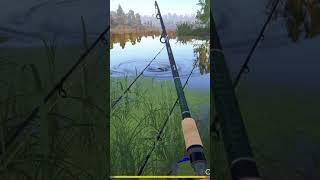 Окунь ГИГАНТ Русская рыбалка 4GIANT perch Russian fishing 4 Подпишись! жду на стриме!