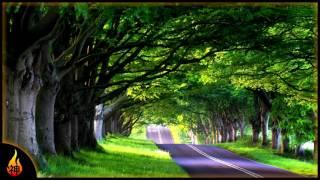 1 Hour Piano Music | Sunday Drive | Relaxing Instrumental Piano Music