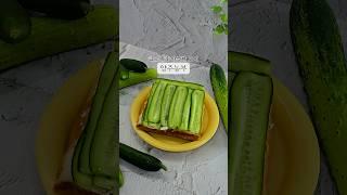 클로렐라 미인오이 | 양주농부 #글로렐라미인오이 #미인오이 #아삭오이 #아삭아삭 #양주농부 #f1미인오이 #서민갑부 #양주농부이범석 #이범석 #오이맛집 #아삭한오이 #오이택배