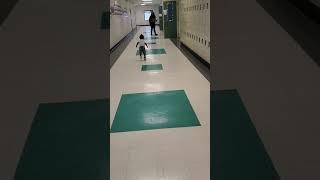 1 yr old skipping