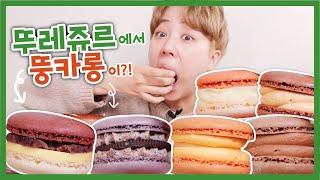 뚜레쥬르 뚱카롱&신상빵 리뷰 [신빵털이] | Tous Les Jours Breads Mukbang