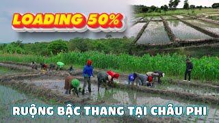 Sau Bao Ngày Cố Gắng - Đã Hoàn Thiện 50% Ruộng Bậc Thang Tại Châu Phi || Team Huyền Thoại.