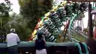 Kumba at Busch Gardens Tampa