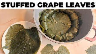 Easy Tutorial How to Cook Minced Meat Vine Leaves