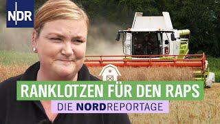 Der Erntestress ist riesig | Trecker, Typen, Erntezeit 1 | Die Nordreportage Folge 1 | NDR