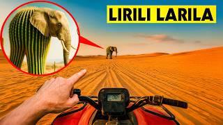 طائرة درون تلتقط هروب LIRILI LARILA في الحياة الواقعية!! (إنها فخ!) جنون إيطالي