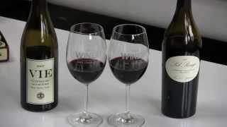 Dr Oz's Trick To Removing Red Wine from Teeth WINE TV