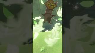 lil pick up rock #korok seedat the spring of power#botw