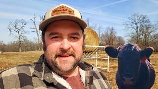 A Feeder That Doesn't Work | Feeding The Cows Before The Winter Storm