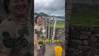 鑫鑫在家乡