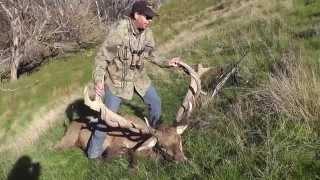 Red Stag Hunting in New Zealand with Brent Moody Mountain Hunters