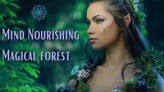 1 Hour Mind Nourishing Magical Forest - Music for Meditation with Rich and Abundant Sound