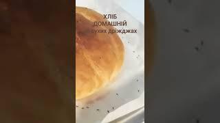  How to bake homemade bread Simple bread recipe  The easiest bread recipe  Dry yeast bread