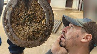 cleaning up an old shoe for a horse / farrier ASMR