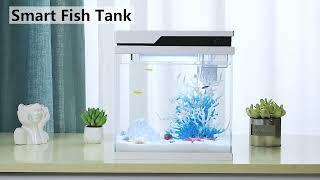 PONDON Smart Fish Tank, 4 Gallon Glass Aquarium Kit w/ Automatic Fish Feeder and Filter | pondon.net