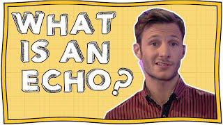 What is an Echo? | Horrible Science | Nugget