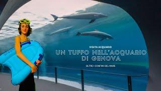 Un tuffo nell'acquario di Genova, visita acquario (oltre i confini del mare SPECIALE EP10) lollodrum