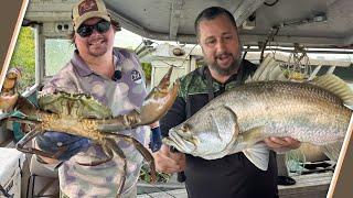 Are the Gulf Mud Crabs back?