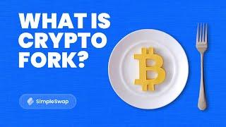 Soft Fork VS Hard Fork in Crypto | Explained for Beginners