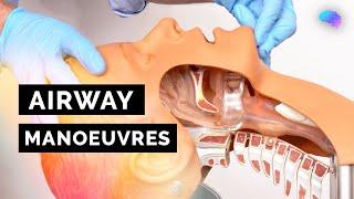 Airway Manoeuvres (BLS) | Head-Tilt & Chin-Lift | Jaw Thrust | ABCDE Emergency | OSCE Guide | PLAB 2