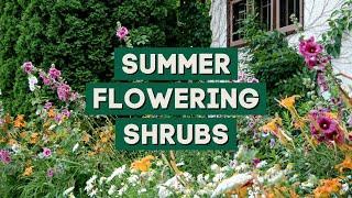 9 Best Flowering Shrubs for Summer!  // PlantDo Home & Garden