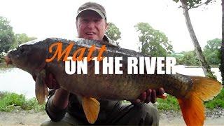 River Carp Fishing in France: 20lb common and river carp rigs