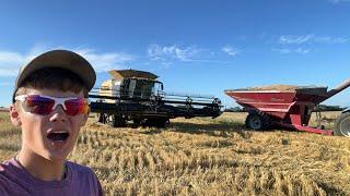 Wheat Harvest is HERE!!!!! Day in the life of a 18 year old farmer