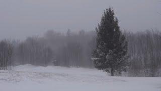 Snow blizzard relaxing sound of wind strong wind and snow [4K Ultra HD]