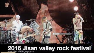 Red Hot Chili peppers 레드 핫 칠리 페퍼스 지산 Full Video@20160722 Rock Music