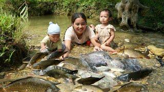 Journey with children to catch fish, trap giant fish - make chili bamboo shoots to preserve