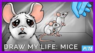 Draw My Life: Laboratory Mice