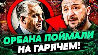 ТОЛЬКО ЧТО! ВСКРЫЛОСЬ! СТРАШНАЯ ПРАВДА ПРО ОРБАНА! ЭТО ЗАЯВЛЕНИЕ ПЕРЕВЕРНУЛО ВСЁ! — Круглашов