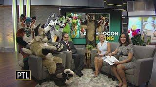 Anthrocon 2023 has invaded the PTL studios