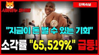 [시바이누 코인] 지금이 기회다! 소각률 "65,529%" 급등! "여기"까지 빠졌다가 "이때"부터 폭등합니다!