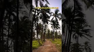 Hidden Gem near Mumbai | Navapur Beach | Virar West #travelwithvickzee #hiddengemsdiscovery