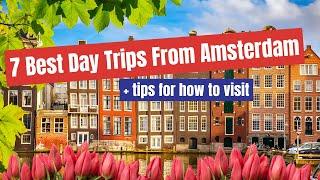 7 Best Day Trips From Amsterdam (+ tips for how to visit)