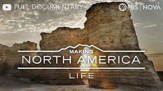 Making North America: When Dinosaurs Roamed | Full Documentary | NOVA | PBS