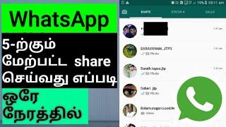 How to send more than 5 chats in Whatsapp_Tamil | Fallen Selva | Fs