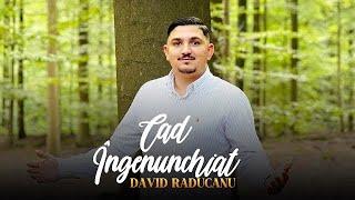 David Raducanu  | Cad îngenunchiat 2024 official video 4k