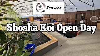 Shosha Koi open day - September 15th 2024 Day 1 :-)