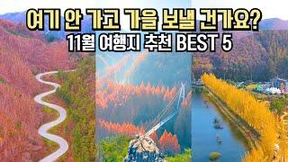 국내 여행 추천 놓치면 후회할 가을의 하이라이트 11월 가을 명소 BEST 5