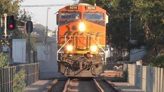 BNSF Mixed Freight Train Comes Straight At Me! | New Braunfels, TX