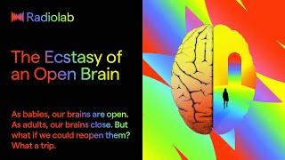 The Ecstasy of an Open Brain | Radiolab Podcast