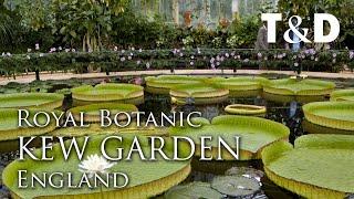 Royal Botanic Gardens, Kew - England Attractions - Travel & Discover