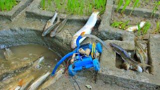 Catch fish using mini water pump motor | fishing in Nepal | fish video@sunfarming7533