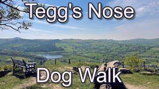 Tegg's Nose a Gritstone Family and Dog Friendly Walk