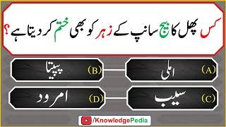 Anokhi Maloomati Paheliyan | اسلامی  سوال جواب  | Knowledge Pedia | islamic Urdu viral Questions 647