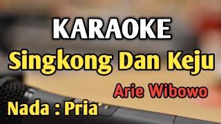 SINGKONG DAN KEJU - KARAOKE || NADA PRIA COWOK || Disco Music || Arie Wibowo || Live Keyboard