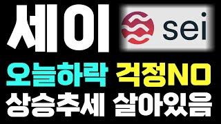 [세이코인전망&분석] 오늘하락 걱정NO상승추세 살아있음